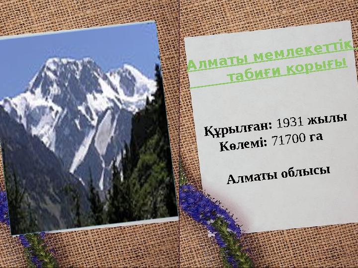 А л м а т ы м е м л е к е т т iк т а б и ғ и қ о р ы ғ ы Қ ұ р ы л ғ а н : 1 9 3 1 ж ы л ы К ө л е м