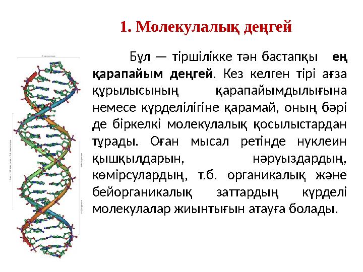 1. Молекулалық деңгей Бұл — тіршілікке тән бастапқы ең қарапайым деңгей . Кез келген тірі ағза қ