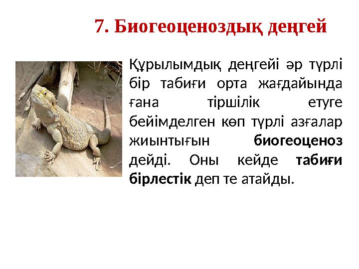 7. Биогеоценоздық деңгей Құрылымдық деңгейі әр түрлі бір табиғи орта жағдайында ғана тіршілік етуге бейімделген көп