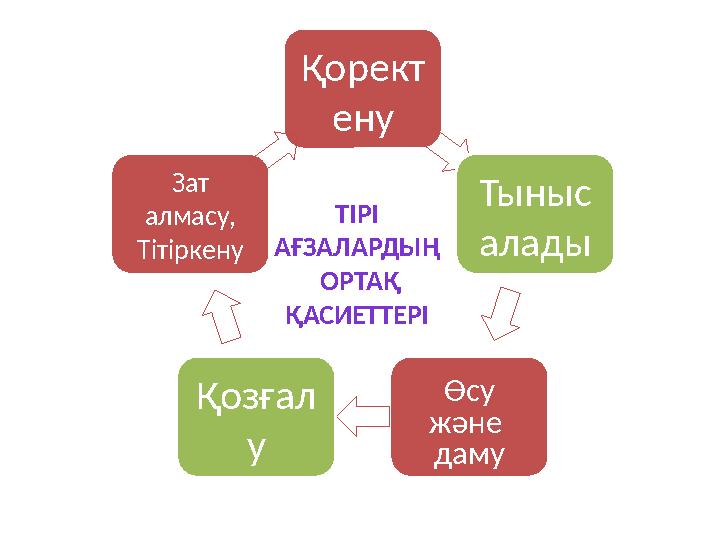 Қорект ену Тыныс алады Өсу және дамуҚозғал уЗат алмасу, Тітіркену ТІРІ АҒЗАЛАРДЫҢ ОРТАҚ ҚАСИЕТТЕРІ
