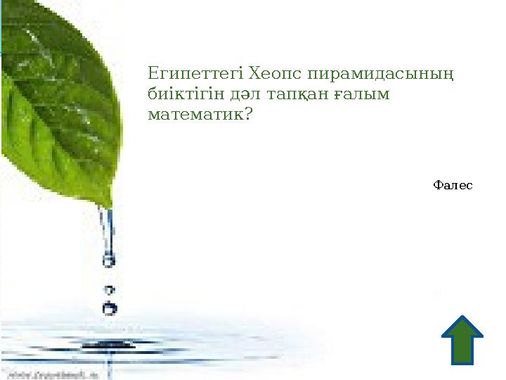 Египеттегі Хеопс пирамидасының биіктігін дәл тапқан ғалым математик? Фалес