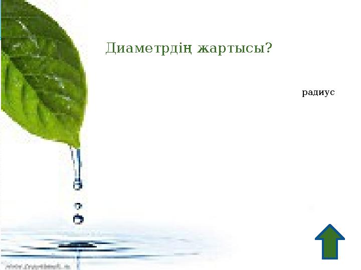 Диаметрдің жартысы? радиус