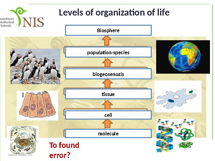 Biosphere population-species biogeosenozis cell molecule To found error ? tissueLevels of organization of life