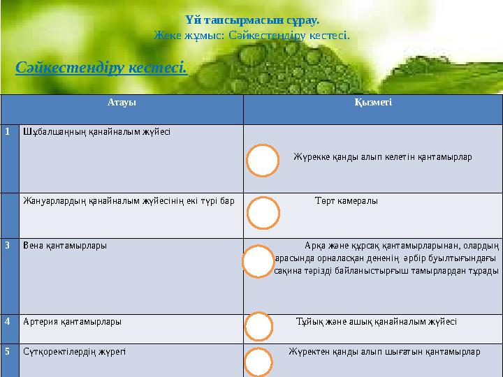 Үй тапсырмасын сұрау. Жеке жұмыс: Сәйкестендіру кестесі. Сәйкестендіру кестесі. Атауы Қызметі 1 Шұбалшаңның қанайналым жүйесі