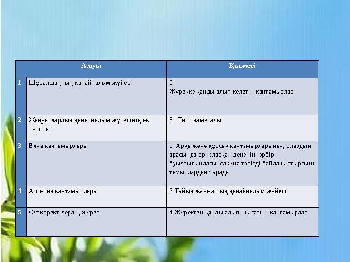 Атауы Қызметі 1 Шұбалшаңның қанайналым жүйесі 3 Жүрекке қанды алып келетін қантамырлар 2 Жануарлардың қанайналым жүйесінің