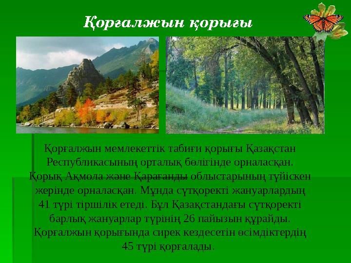 Қорғалжын мемлекеттік табиғи қорығы Қазақстан Республикасының орталық бөлігінде орналасқан. Қорық Ақмола және Қарағанды облыст