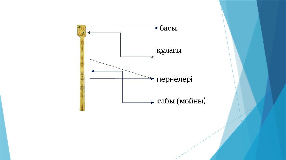 басы пернелері сабы (мойны )құлағы