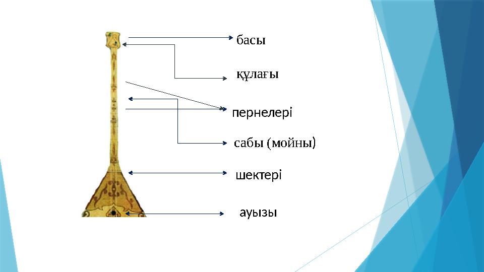 басы пернелері сабы (мойны )құлағы ауызы шектері