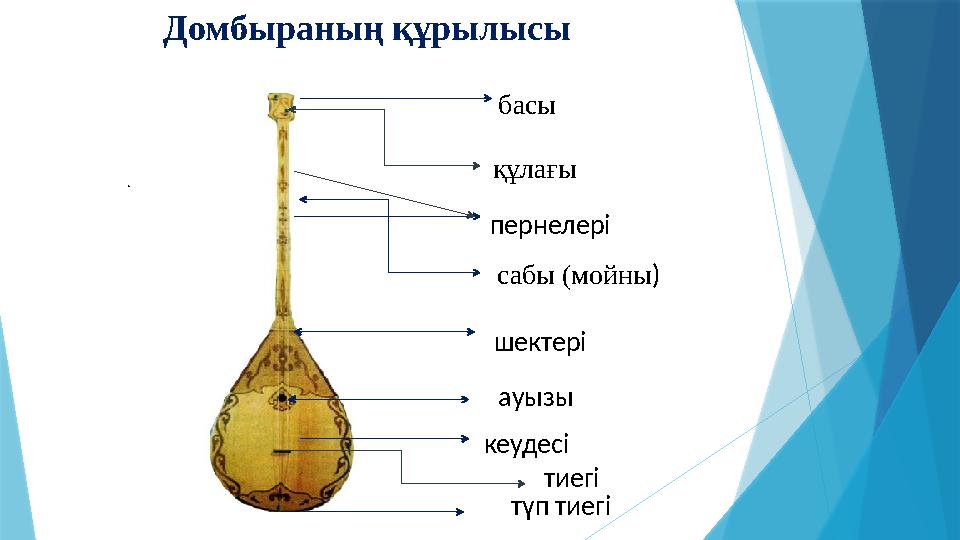 Домбыраның құрылысы құлағы . басы пернелері сабы (мойны ) ауызы шектері кеудесі