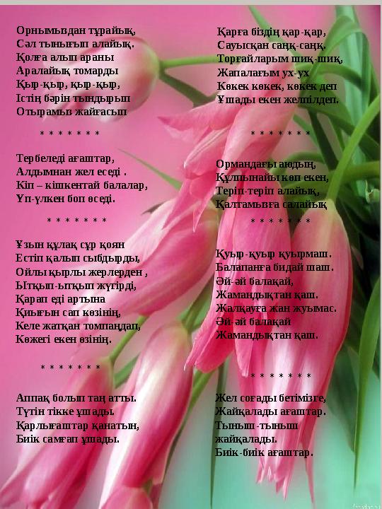 Орнымыздан тұрайық, Сәл тынығып алайық. Қолға алып араны Аралайық томарды Қыр-қыр, қыр-қыр, Істің бәрін тындырып Отырамыз ж