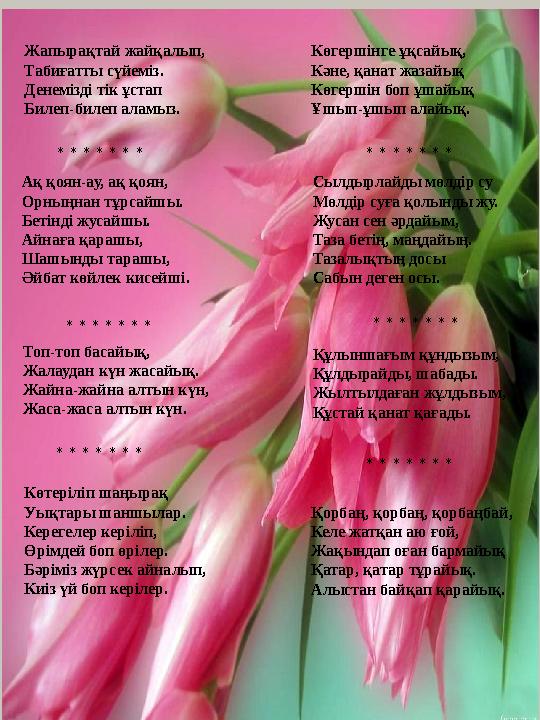 Tomb Raider жалаңаш суреттері Виртуалды секс веб-камерасы