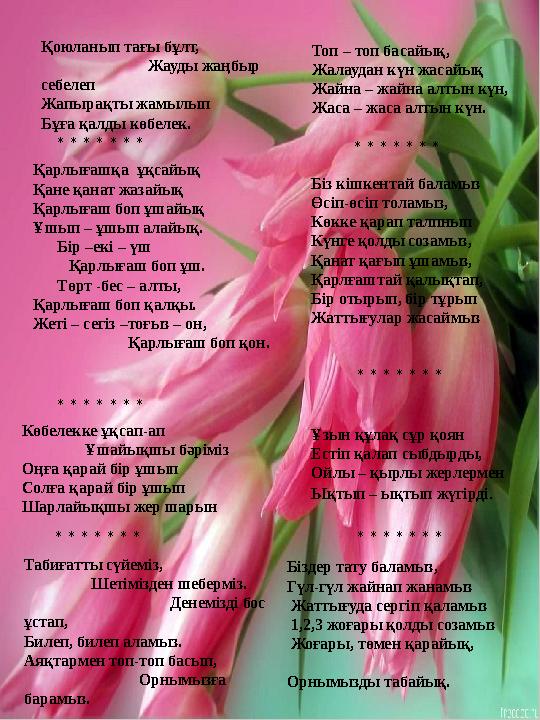 Қоюланып тағы бұлт, Жауды жаңбыр себелеп