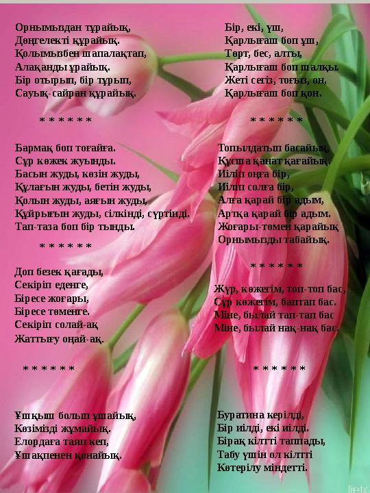 Орнымыздан тұрайық, Дөңгелекті құрайық. Қолымызбен шапалақтап, Алақанды ұрайық. Бір отырып, бір тұрып, Сауық-сайран құрайық. Бір