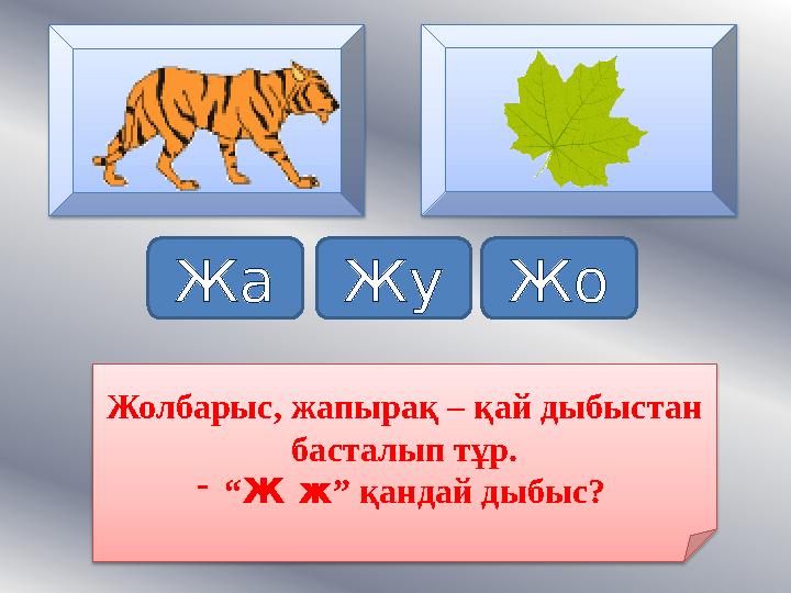 Жа Жу Жо Жолбарыс, жапырақ – қай дыбыстан басталып тұр. - “ Ж ж ” қандай дыбыс?