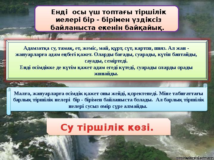 Малға, жануарларға өсімдік қажет оны жейді, қоректенеді. Міне табиғаттағы барлық тіршілік иелері бір - бірімен байланыста бола