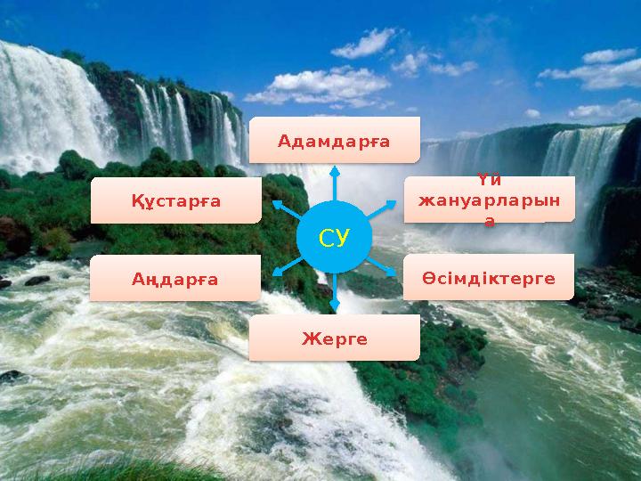 СУҚұстарға Адамдарға Үй жануарларын а Өсімдіктерге ЖергеАңдарға