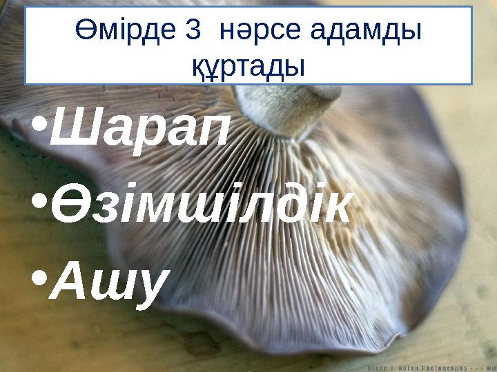 Өмірде 3 нәрсе адамды құртады • Шарап • Өзімшілдік • Ашу