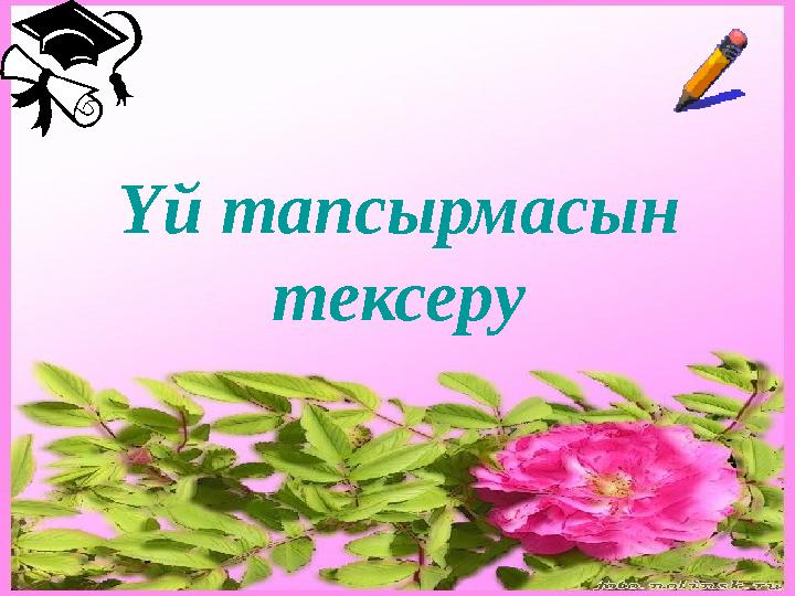 Үй тапсырмасын тексеру
