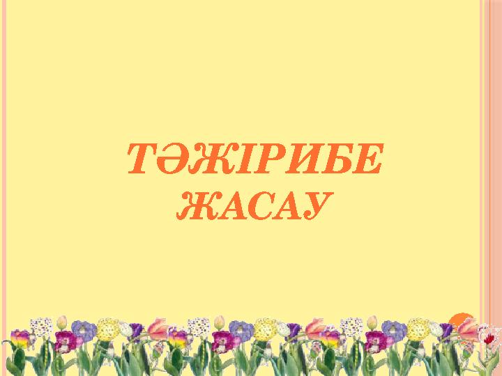 ТӘЖІРИБЕ ЖАСАУ