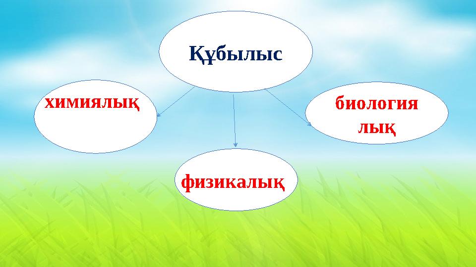 Құбылыс физикалықхимиялық биология лық