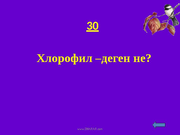 30 Хлорофил –деген не? www.ZHARAR.com