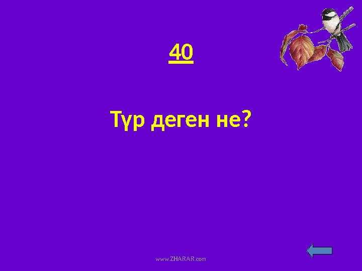 40 Түр деген не? www.ZHARAR.com