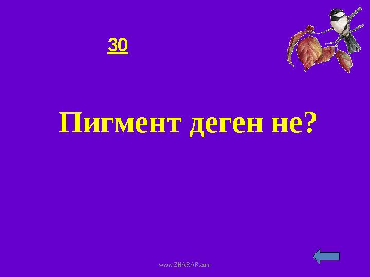 30 Пигмент деген не? www.ZHARAR.com