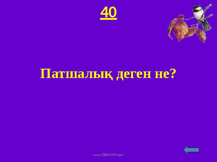 40 Патшалық деген не? www.ZHARAR.com