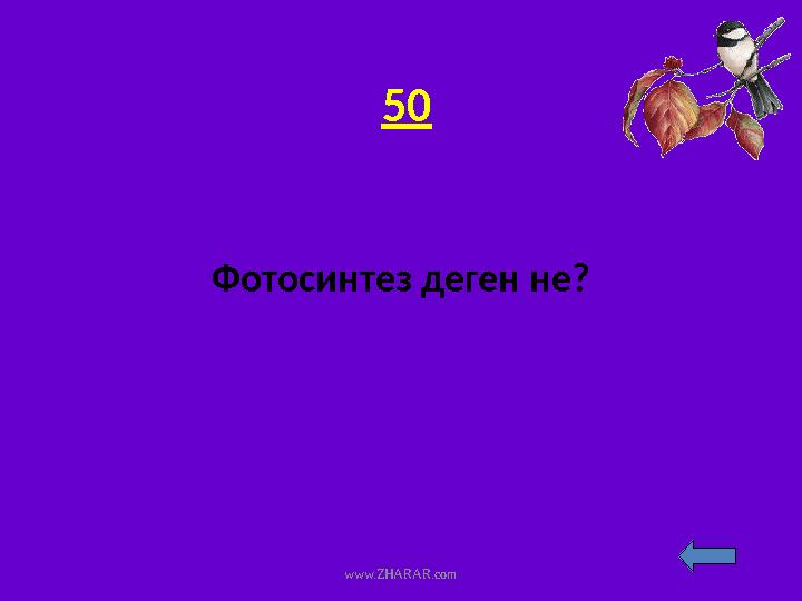 50 Фотосинтез деген не? www.ZHARAR.com