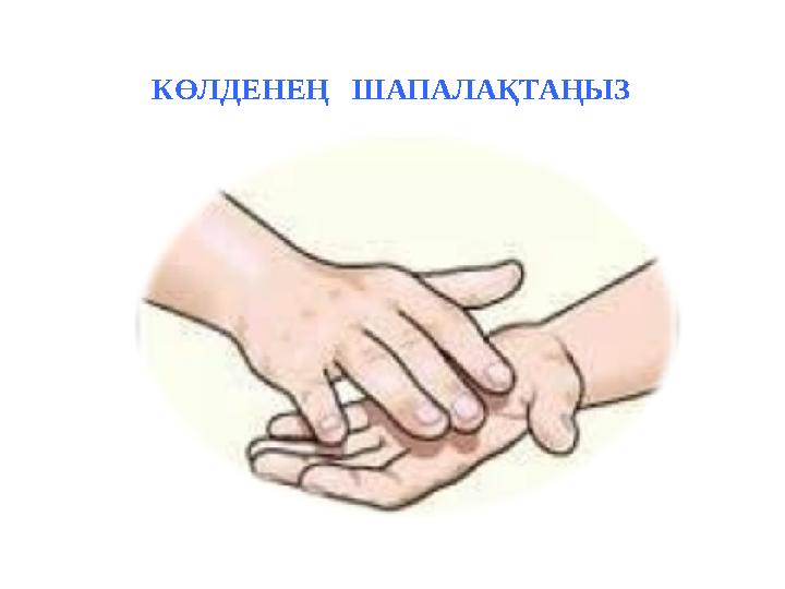 КӨЛДЕНЕҢ ШАПАЛАҚТАҢЫЗ