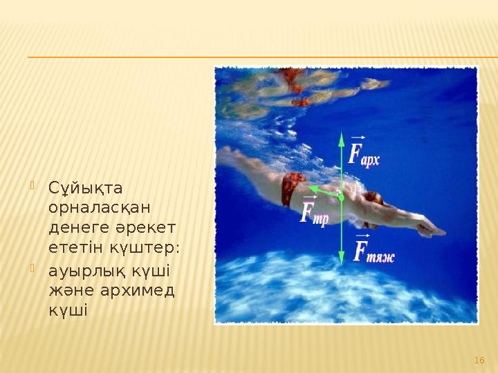  Сұйықта орналасқан денеге әрекет ететін күштер :  ауырлық күші және архимед күші 16
