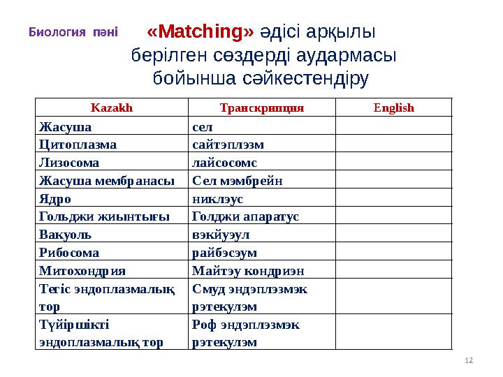 12Kazakh Транскрипция English Жасуша ceл Цитоплазма сайтэплэзм Лизосома лайсосомс Жасуша мембранасы Сел мэмбрейн Ядро никлэус Го