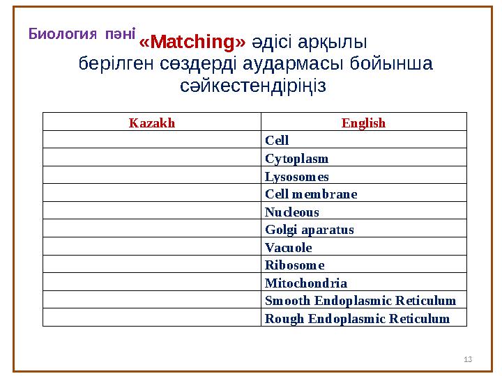 13«Matching» әдісі арқылы берілген сөздерді аудармасы бойынша сәйкестендіріңіз 13Kazakh English Cell Cytoplasm Lysosomes Ce