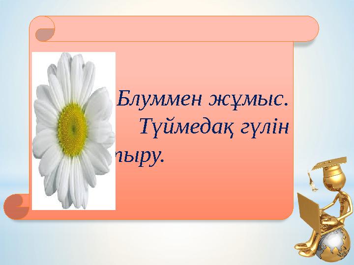 Блуммен жұмыс. Түймедақ гүлін құрастыру.