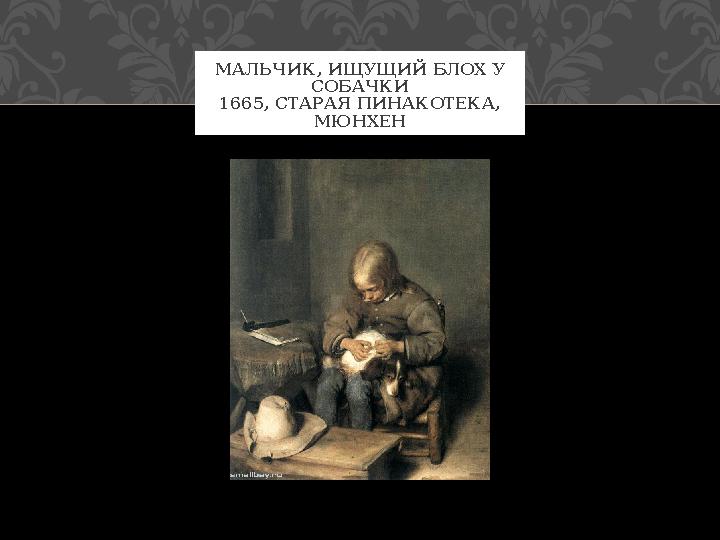 МАЛЬЧИК, ИЩУЩИЙ БЛОХ У СОБАЧКИ 1665, СТАРАЯ ПИНАКОТЕКА, МЮНХЕН