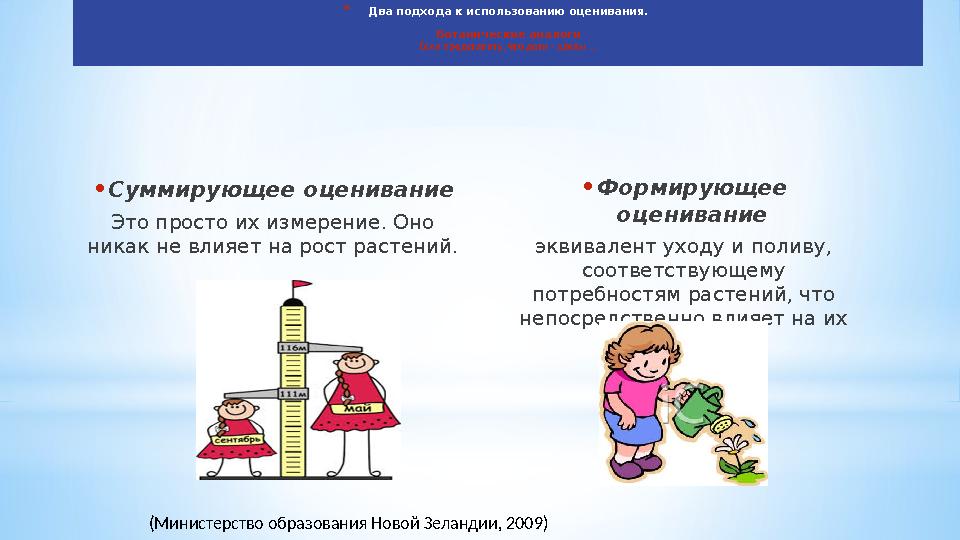 *Два подхода к использованию оценивания. Ботанические аналоги Если представить, что дети - цветы … •Суммирующее оценивание Э