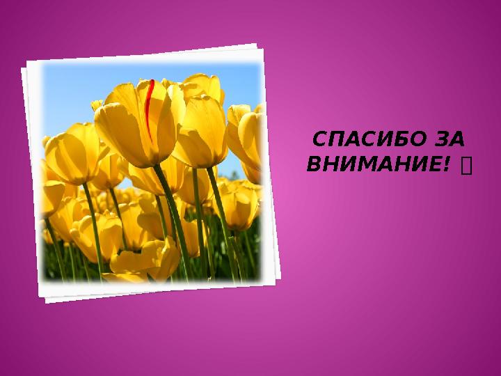 СПАСИБО ЗА ВНИМАНИЕ! 