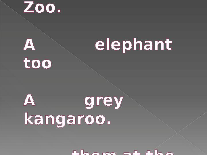at the Zoo. A elephant too A grey kangaroo. them at the Zoo.