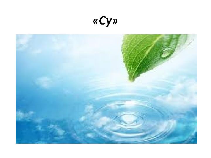 «Су»
