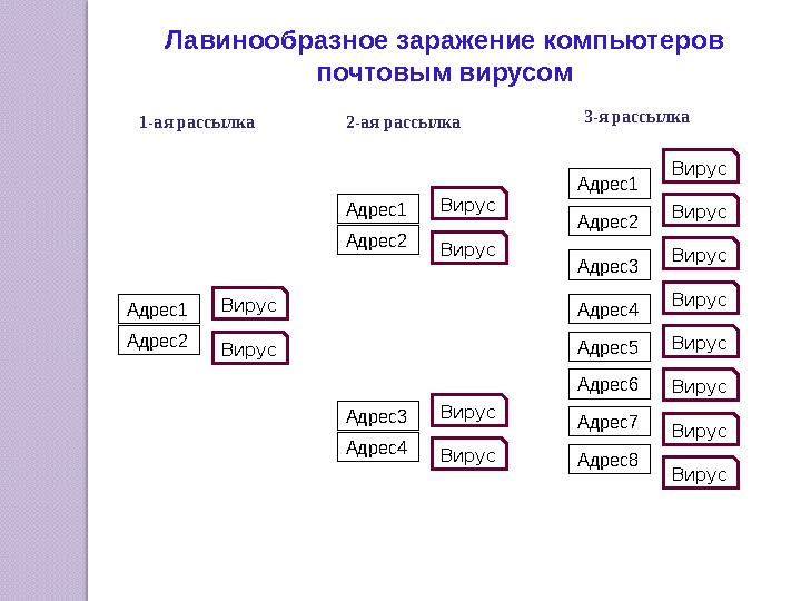 Адрес1 Адрес2 Адрес1 Адрес2 Адрес3 Адрес4 Адрес1 Адрес2 Адрес3 Адрес4 Адрес5 Адрес6 Адрес7 Адрес8 Вирус Вирус Вирус Вирус Виру