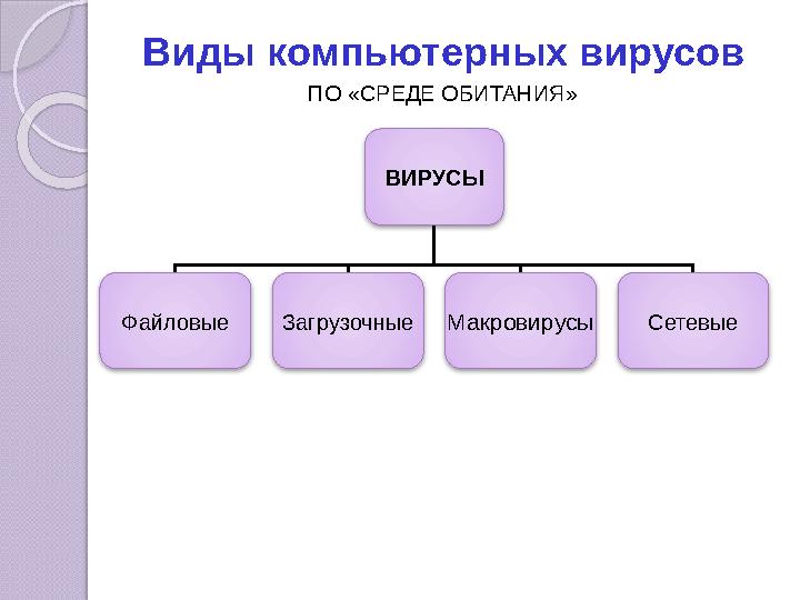 Виды компьютерных вирусов ПО «СРЕДЕ ОБИТАНИЯ» ВИРУСЫ Файловые Загрузочные Макровирусы Сетевые
