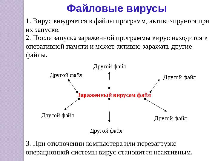 2. После запуска зараженной программы вирус находится в оперативной памяти и может активно заражать другие файлы. Зараженный