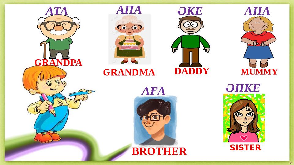 DADDY MUMMY SISTER BROTHER GRANDPA GRANDMA АТА АПА ӘКЕ АНА АҒА ӘПКЕ