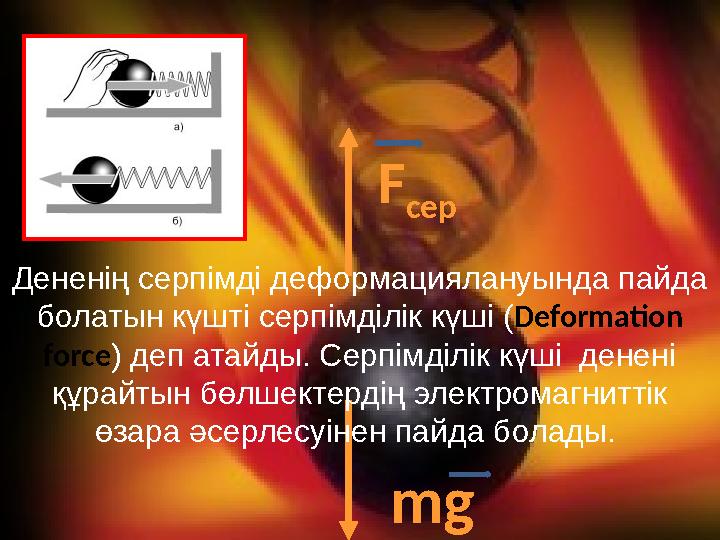 www.zhangozy.wordpress.com F сер mg Дененің серпімді деформациялануында пайда болатын күшті серпімділік күші (Deformation forc