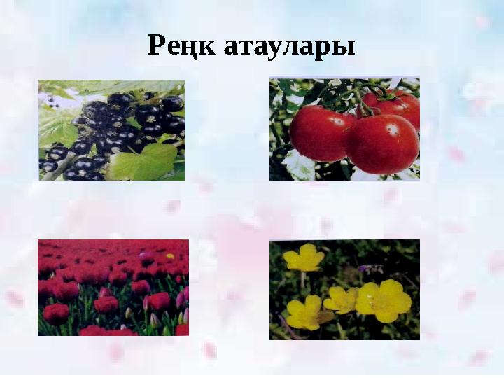 Реңк атаулары