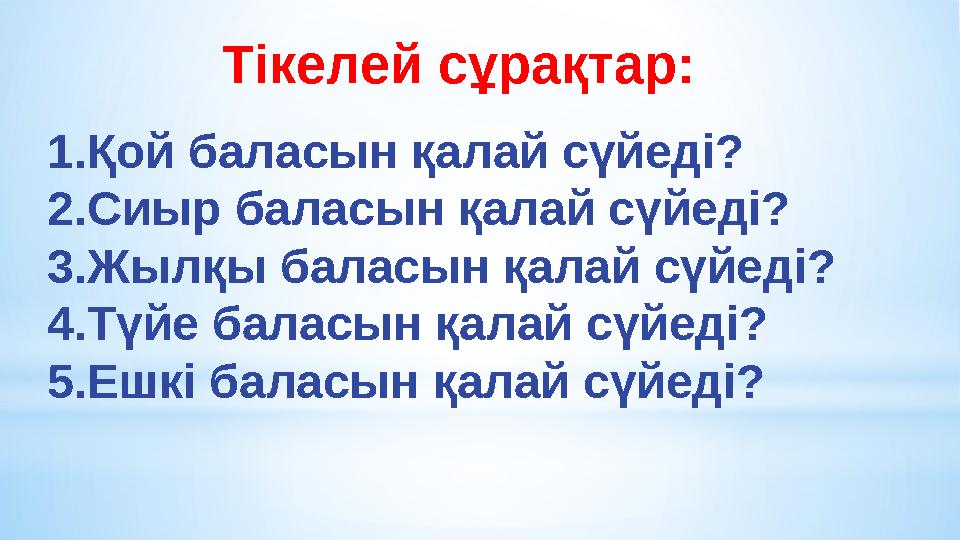 Тікелей сұрақтар: 1.Қой баласын қалай сүйеді? 2.Сиыр баласын қалай сүйеді? 3.Жылқы баласын қалай сүйеді? 4.Түйе баласын қалай сү