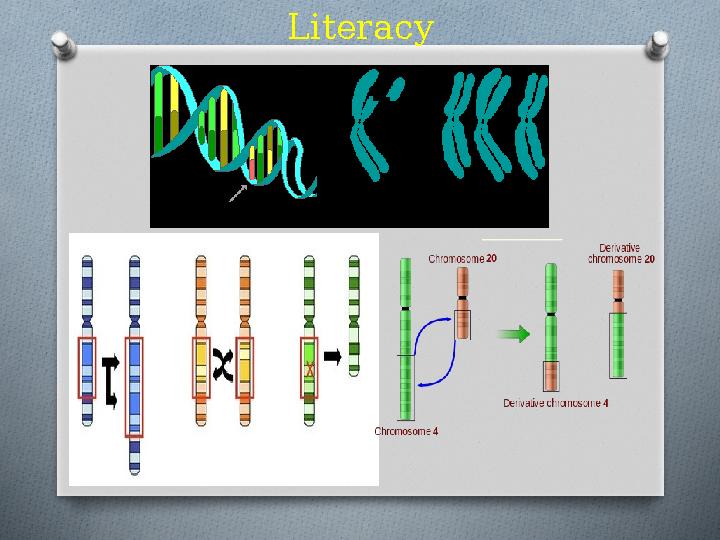 Literacy