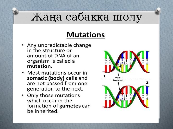Жаңа сабаққа шолу