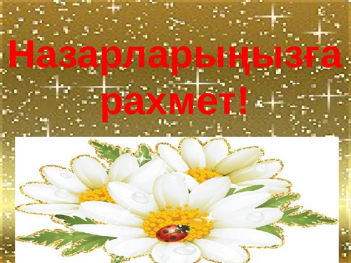 Назарларыңызға рахмет!