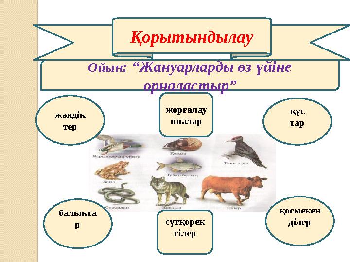 Қорытындылау Ойын : “Жануарларды өз үйіне орналастыр” жорғалау шыларжәндік тер құс тар қосмекен ділерсүтқорек тілербалықта р